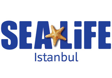 Sea Life İstanbul’da Mavi Dünyayı Keşfediyoruz