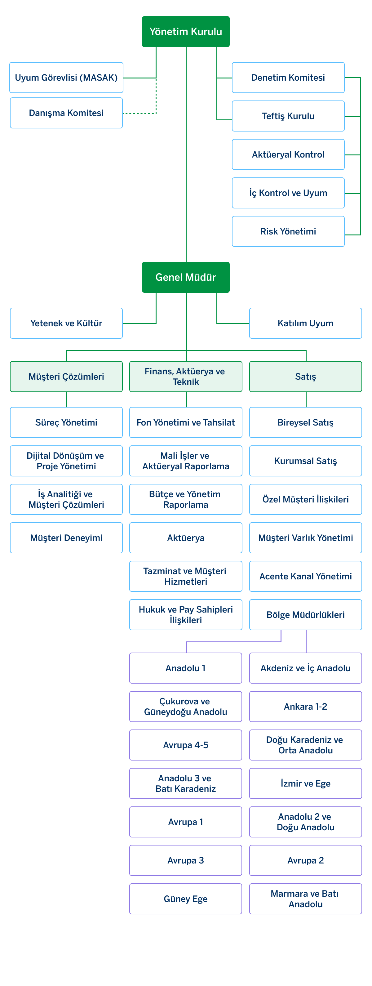 organizasyon şeması